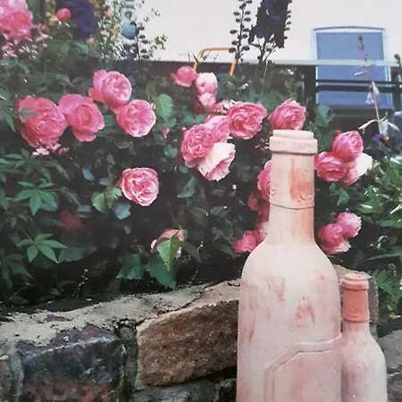 Hotel Lichte Aue Lichtenau Stutzengrun